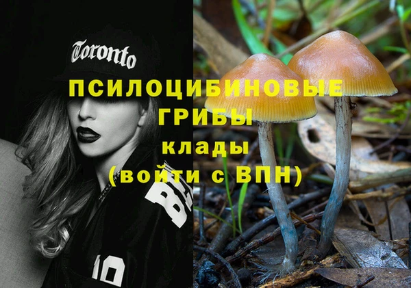 тгк Мегион