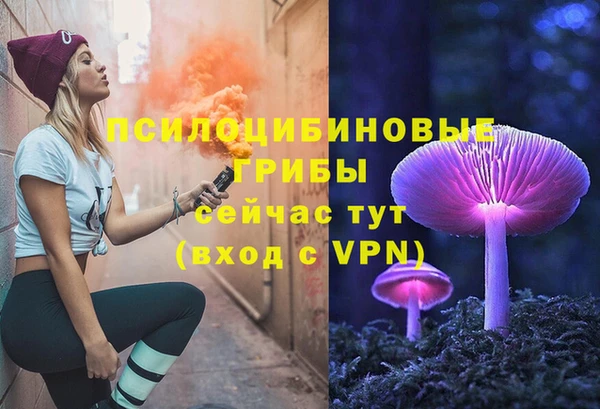 jwh Богородск