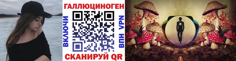 Галлюциногенные грибы Psilocybe Бикин